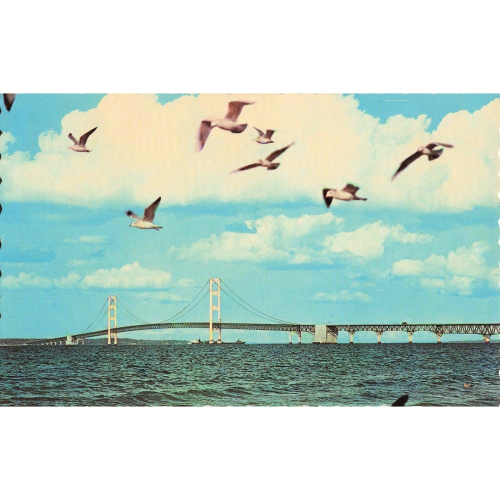Vintage Mackinac Bridge Michigan Postcard Seagulls Penrod Hiawatha Chrome 6412